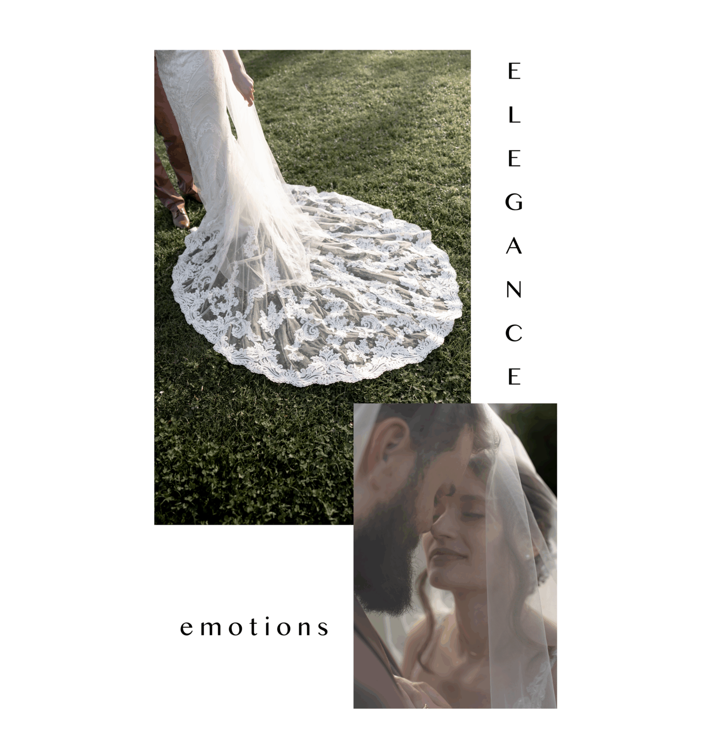 Wedding Diaries Cover